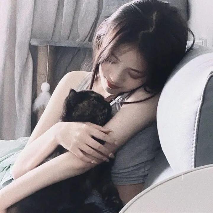 猫咪后院之家